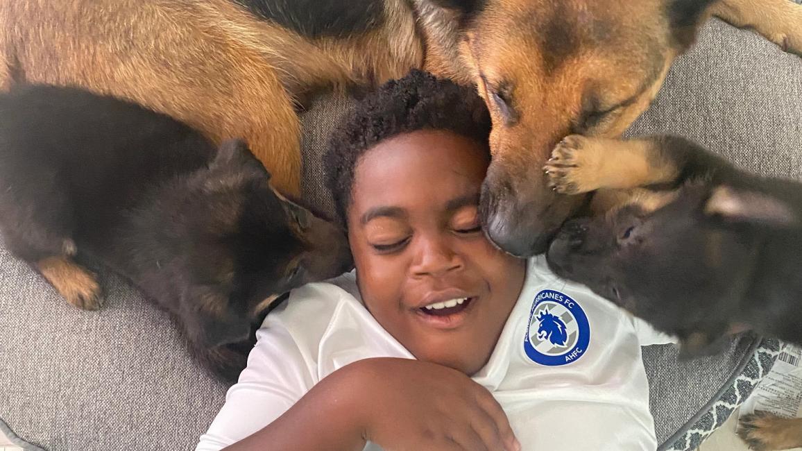 Kai Mason, smiling and lying down surrounded by German shepherd and pupies