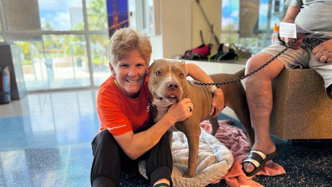 Person sitting on the ground hugging a dog at Miami-Dade Animal Services 