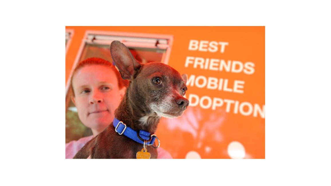 Volunteer Michelle Bridges with a dog