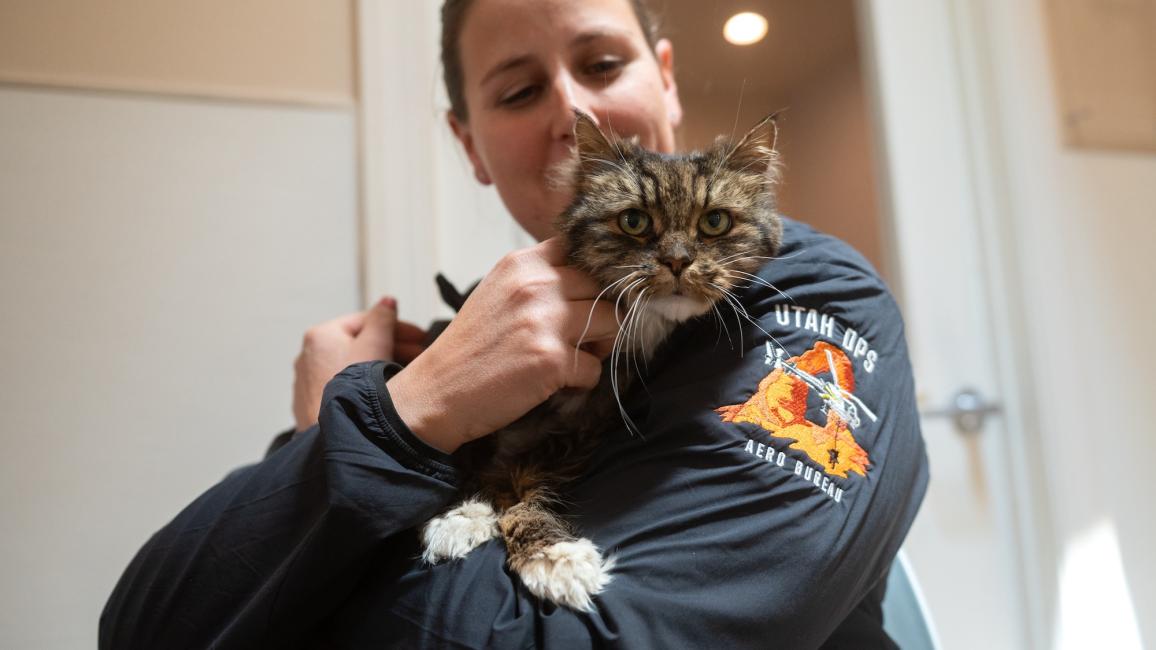 Mirage being adopted by the pilot who found her.