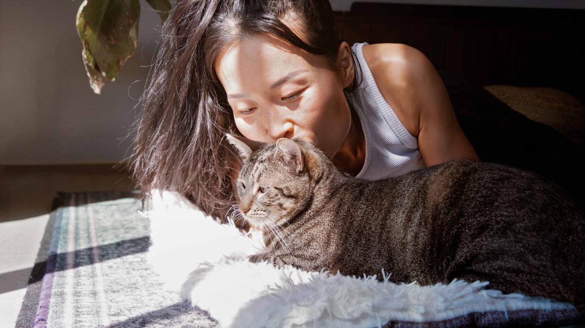 Person lying on the floor kissing the head of a brown tabby cat
