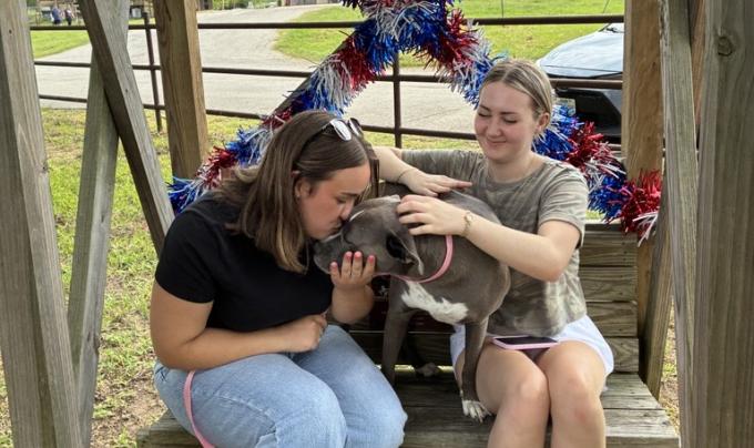 Dog from Aggieland Humane Society with two people on a wooden swing