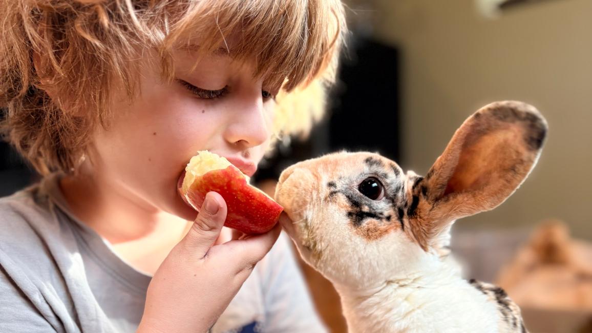 Child eating an apple with Leroy the rabbit