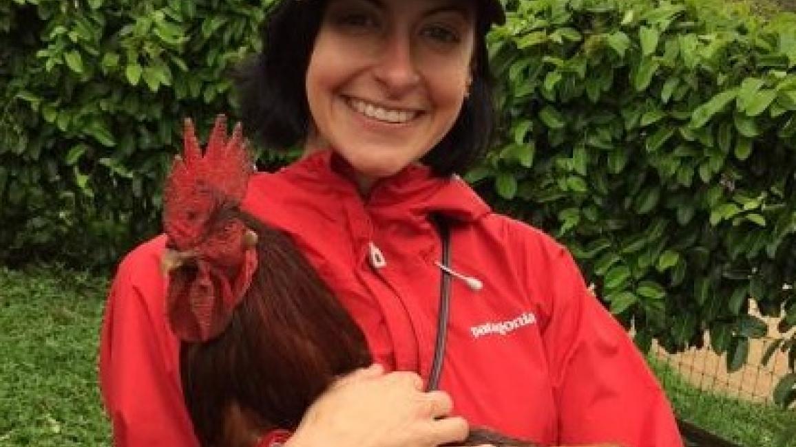 Volunteer Mollie with a rooster
