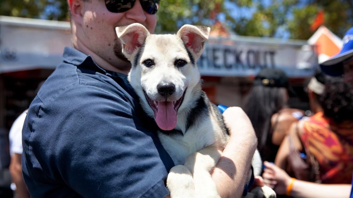 Meet Your New Best Friend at NKLA Super Adoption June 3 & 4 at Warner Park in Woodland Hills