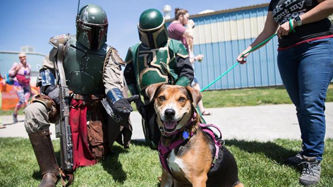 Best Friends Pet Super Adoption