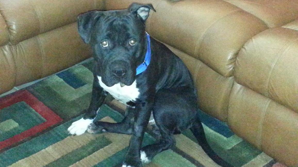 Selenium test image - create