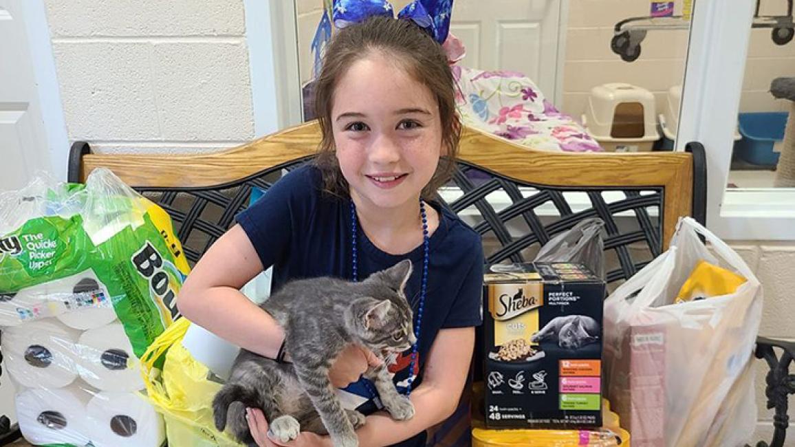 Little girl wearing a blue bow holding a gray kitten