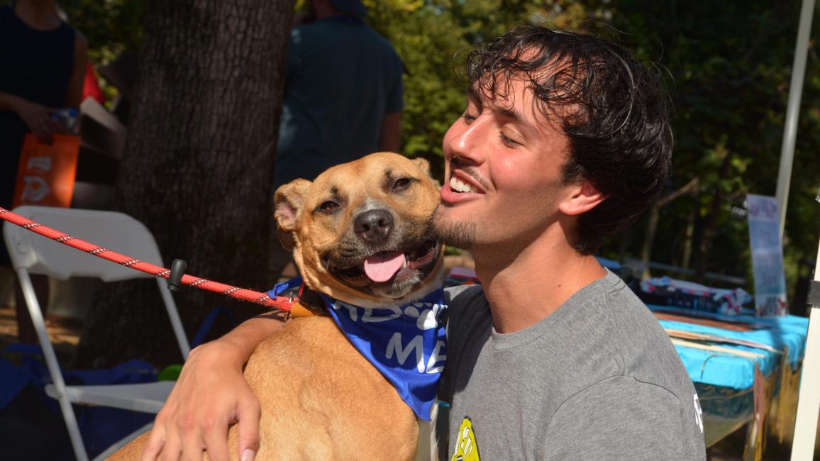 Cashew the dog getting a hug from a smiling person