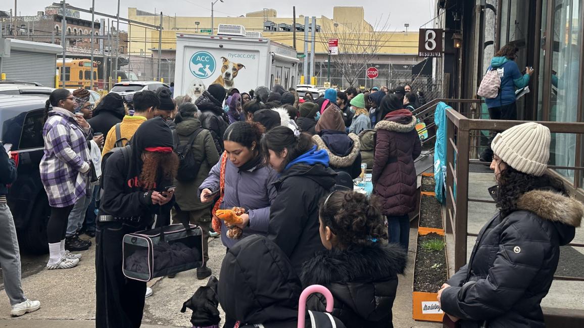 Crowd of people outside the New York City adoption event