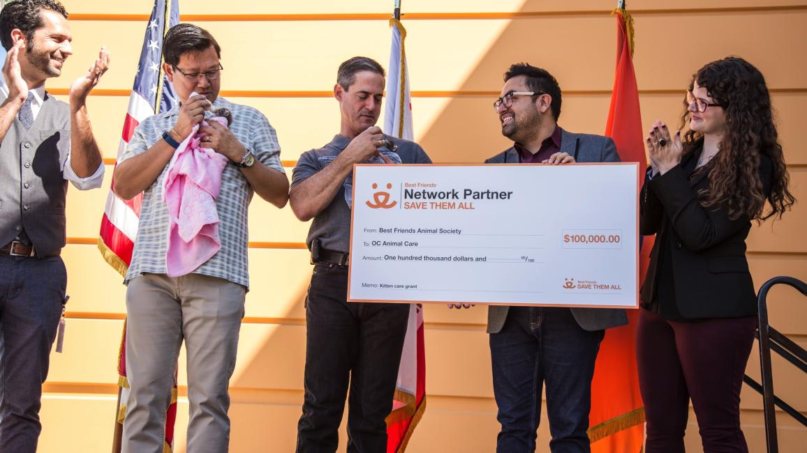 Save Them All grant will reduce kitten euthanasia by 15% at Orange County Animal Care