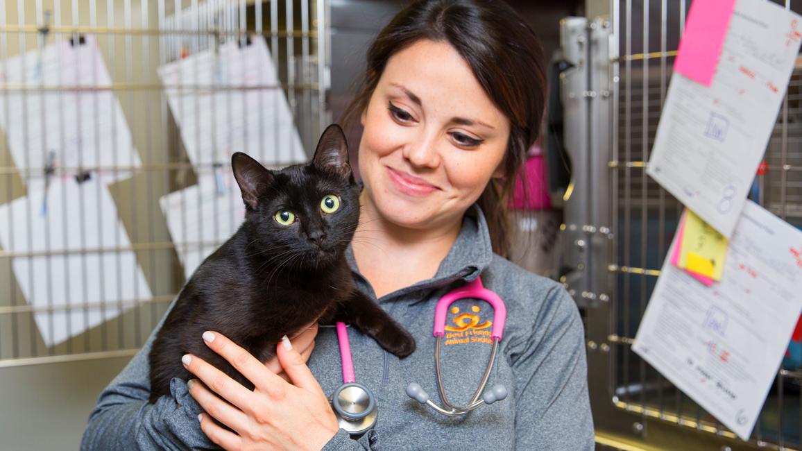 Smiling person holding a young cat in a clinic setting