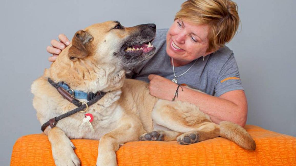 Volunteer photographer Pam with a dog