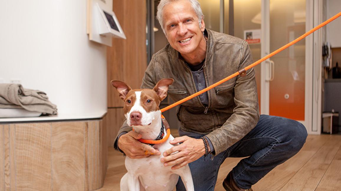 Patrick Fabian with brown and white dog