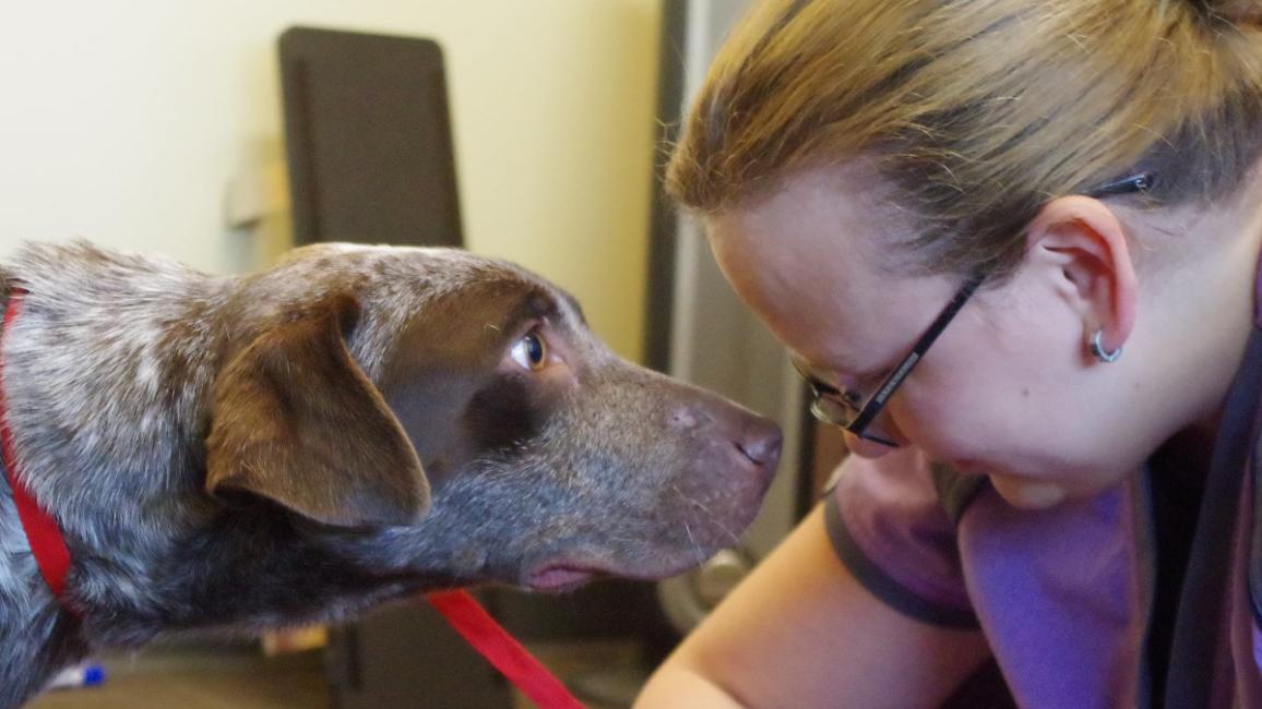 West Valley City Success