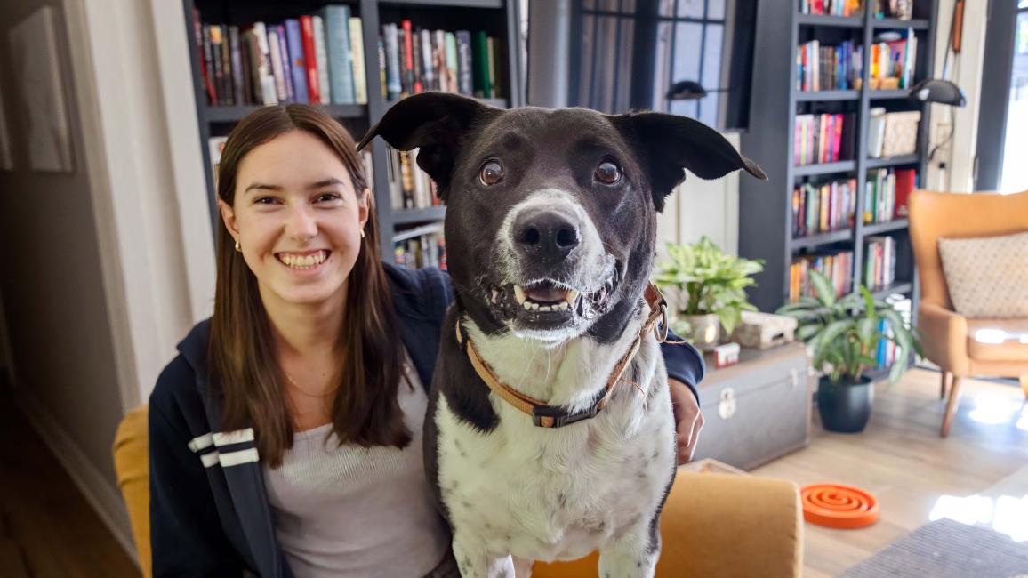 Black and white dog with the person fostering her in a home in front of bookshelves