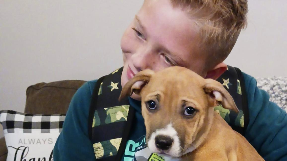 Beau hugging Mac the puppy