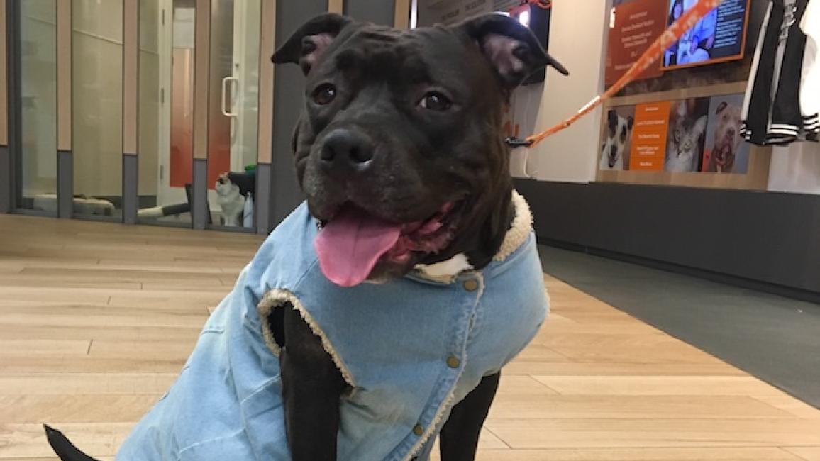 Queen in her new look