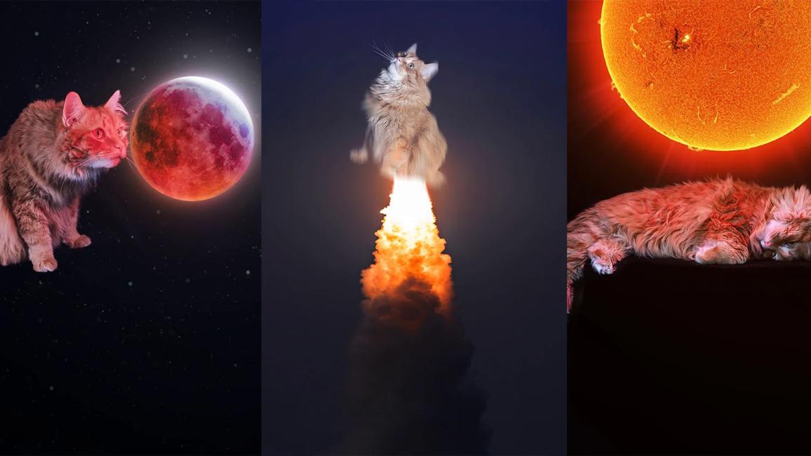 Gregory the cat featured in a collage of three space images