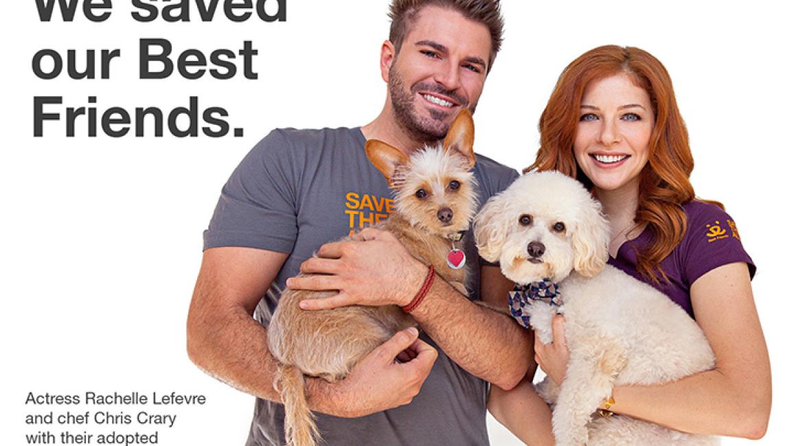 Rachelle Lefevre and chef Chris Crary with their two adopted dogs