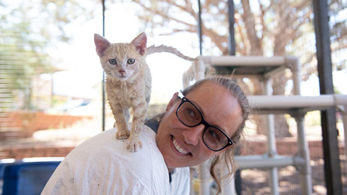 Faith the kitten standing on Amy's shoulder