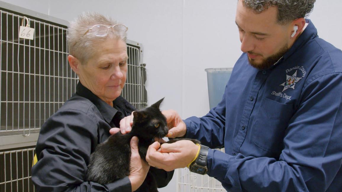 Two people interacting with a small black kitten with a kennel in the background