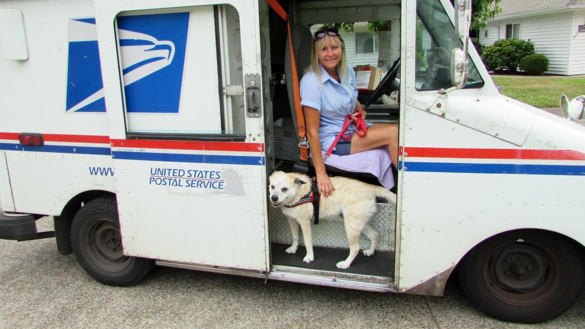 Raquel (now Poppy) the dog in a mail truck with the mail person petting her