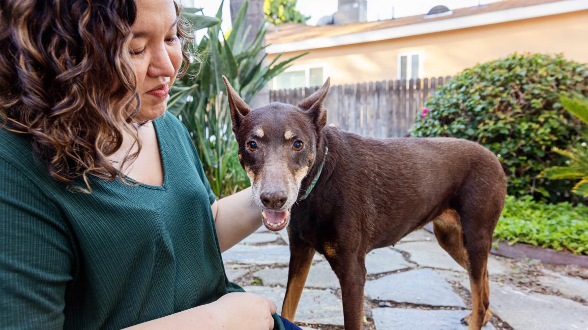 Woman outside, petting a Doberman-type dog