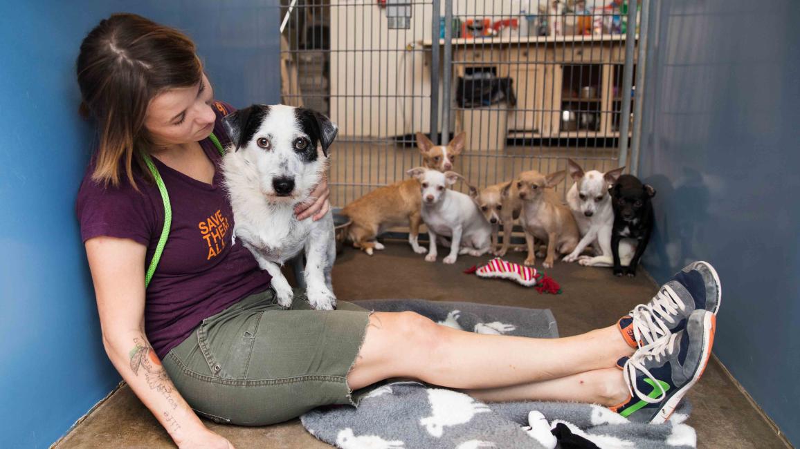 Roosevelt Hoarding Story