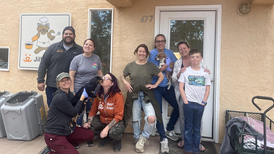 Group of people with some puppies outside one of the buildings in Cat World