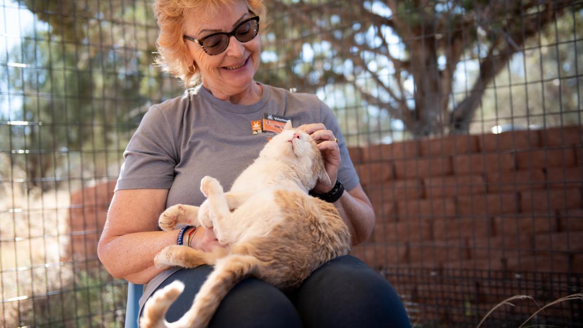 Leo Decatmeow the cat in a person's lap and looking very happy