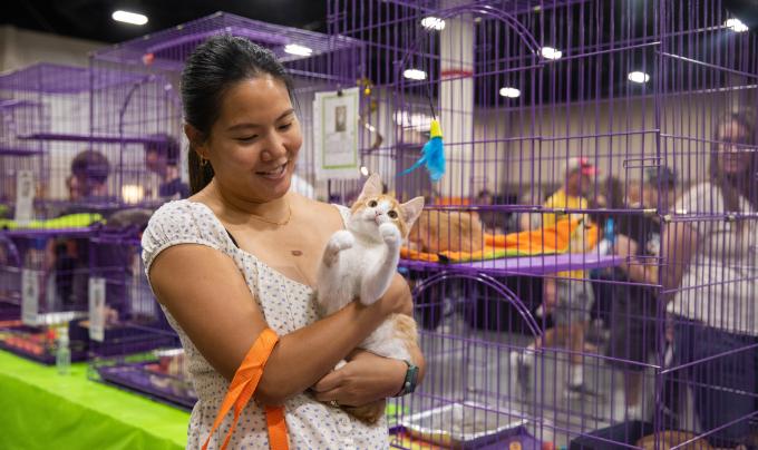 Person holding a kitten in front of some wire kennels at the Best Friends Super Adoption in Utah