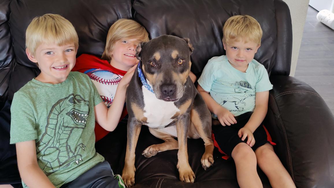 Sage the dog on a couch with three kids from the Brooks family