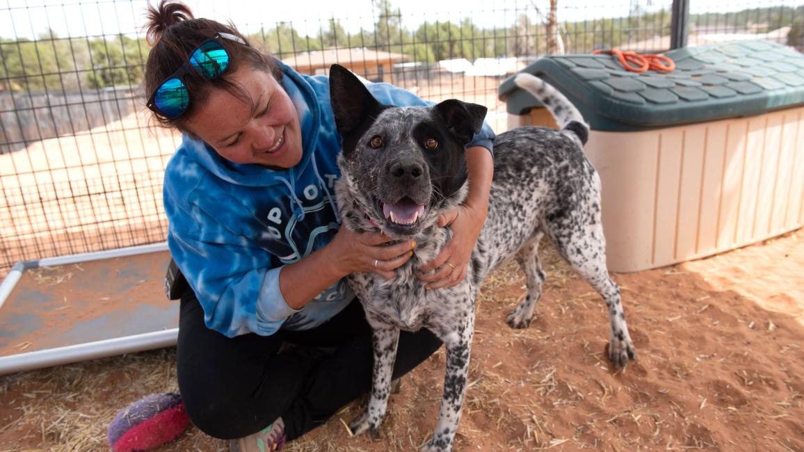 Woman hugging a black and white heeler type dog