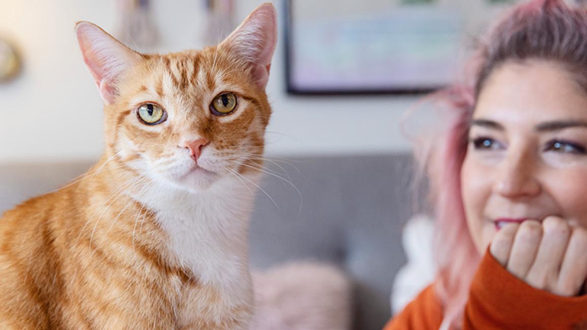 All about best sale cat behavior