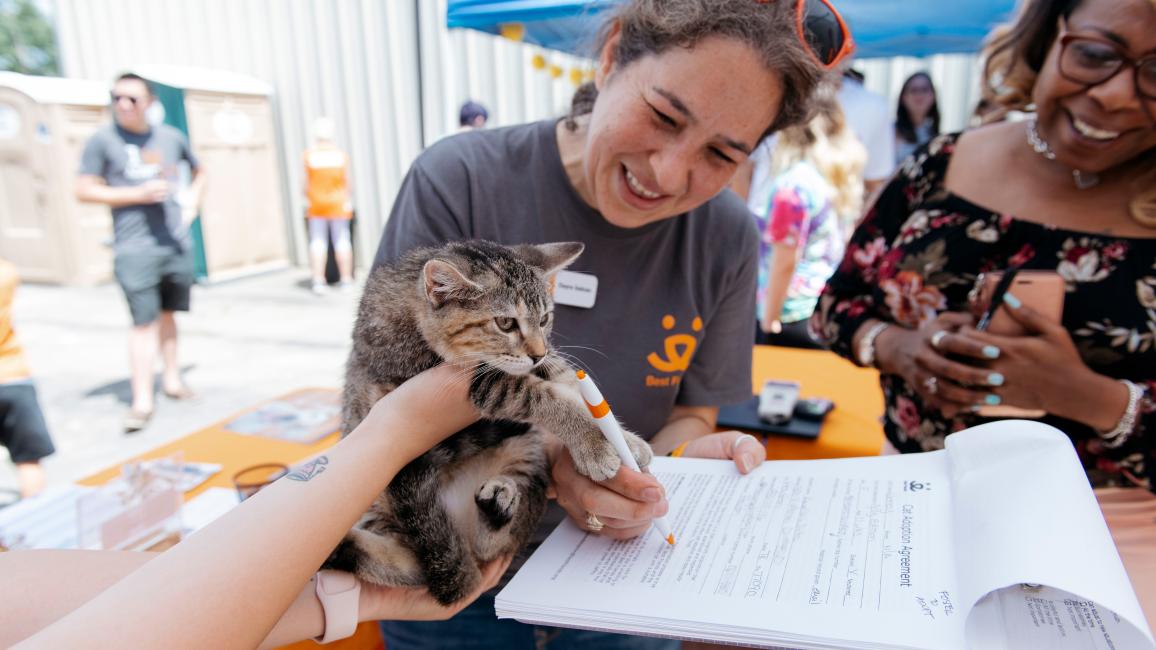 Person wearing a Best Friends T-shirt with a tabby kitten at an outdoor adoption event