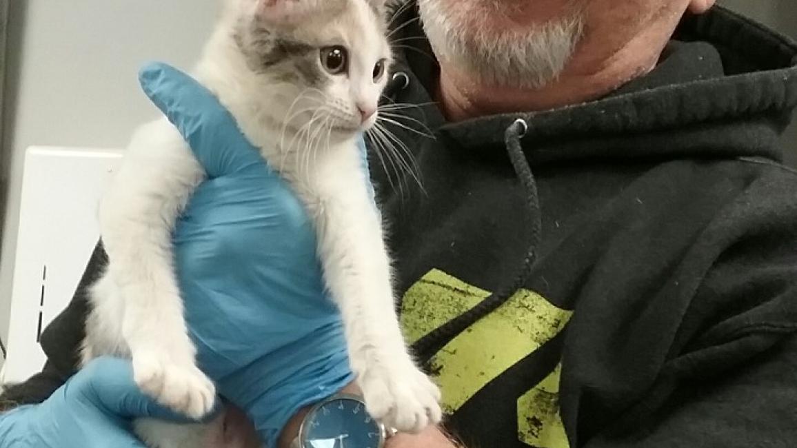 Volunteer Scott with Elf the kitten