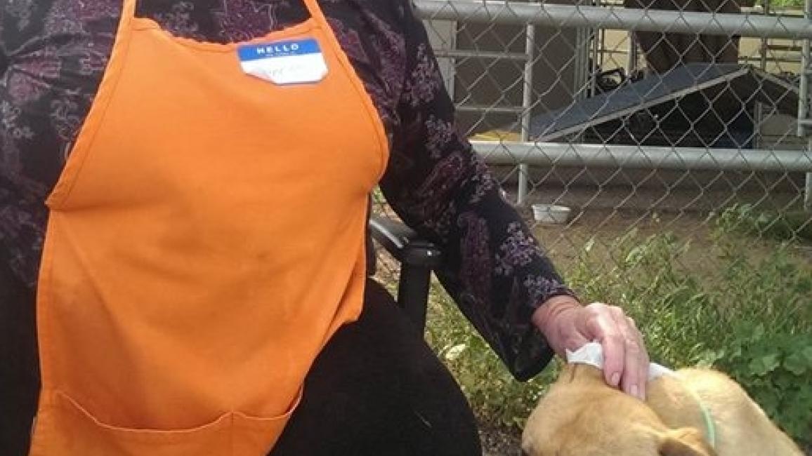 Volunteer Sharon G. with a dog at Best Friends in Los Angeles