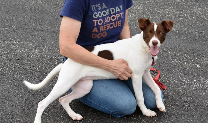 Person with a small dog in their lap kneeling on concrete