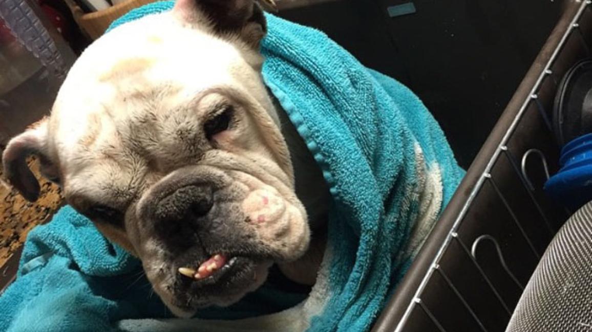 Selenium test image - create