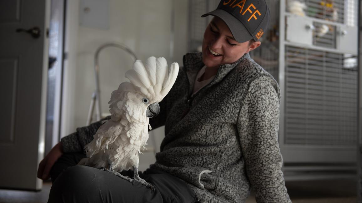 Caregiver Elle Greer with a cockatoo in her lap