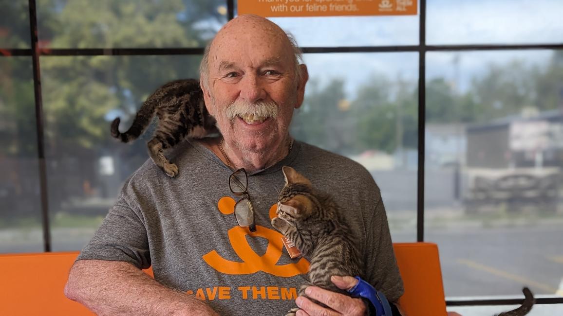 Steve Pack with kittens on his shoulder and around him
