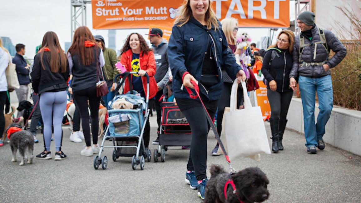 Strut Your Mutt NYC Kicks Off