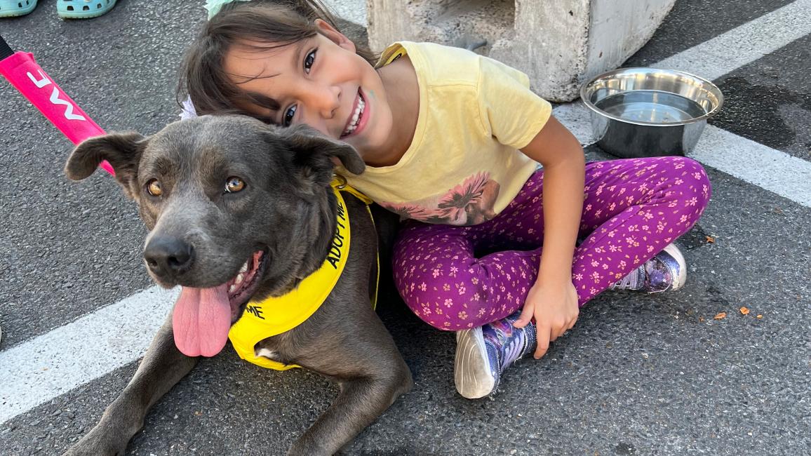 Child snuggling with a gray dog in a parking lot at the Super Adoption