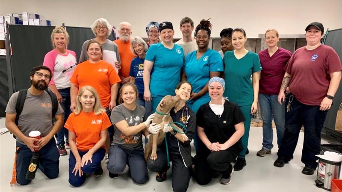 Group shot of the high-volume spay/neuter team in Houston