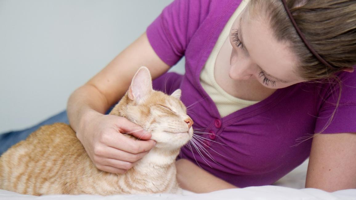 Instead of a dozen roses, Best Friends Animal Society offers twelve reasons why pets make the best Valentines