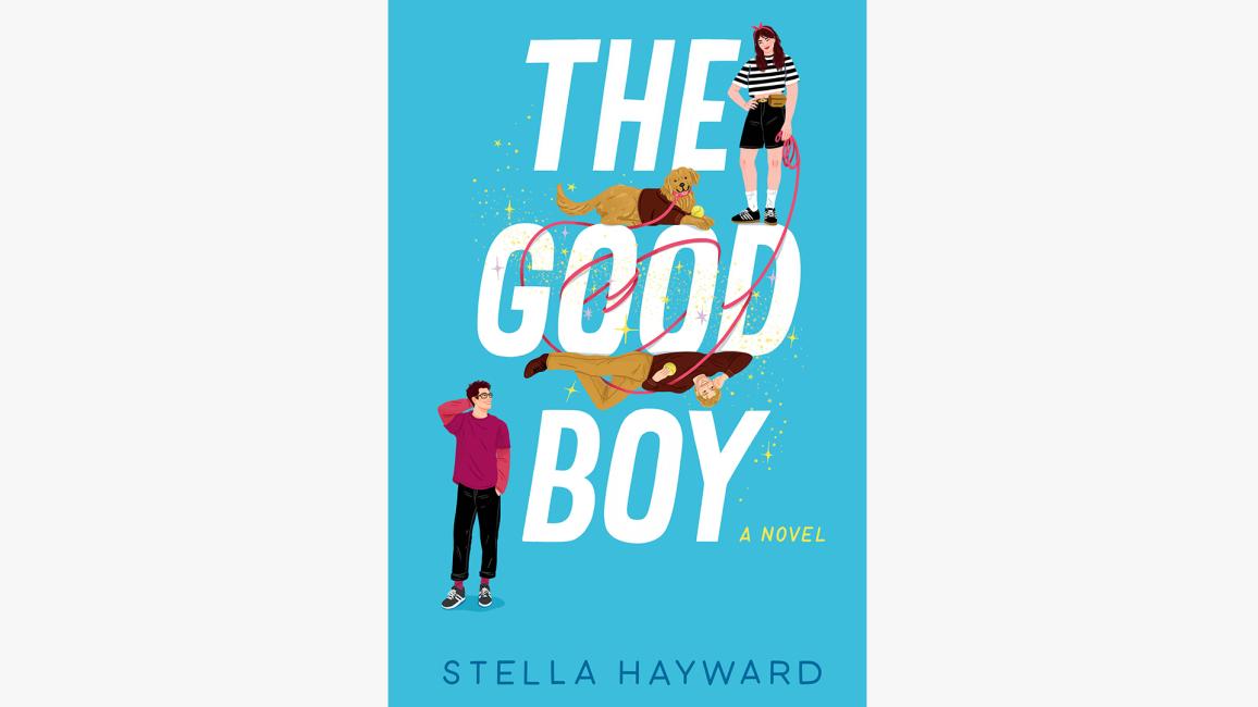 Book cover for "The Good Boy: A Novel"