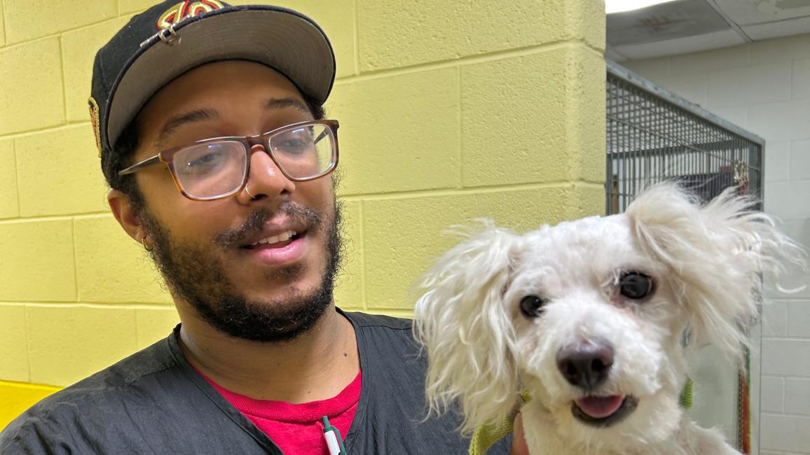 Trevor the groomer holding a small white dog