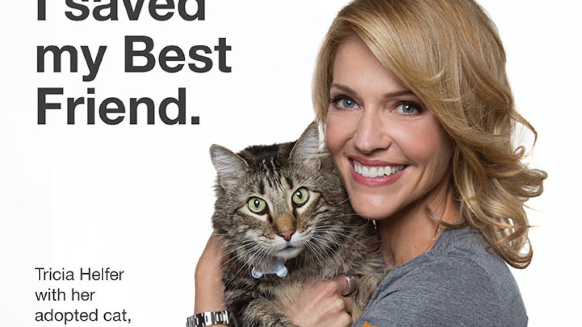 Tricia Helfer and tabby cat
