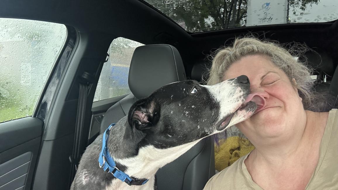 Turbo the dog in a vehicle kissing the face of his adopter